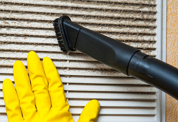 Best Air Filter Replacement Services in Lakefield, MN